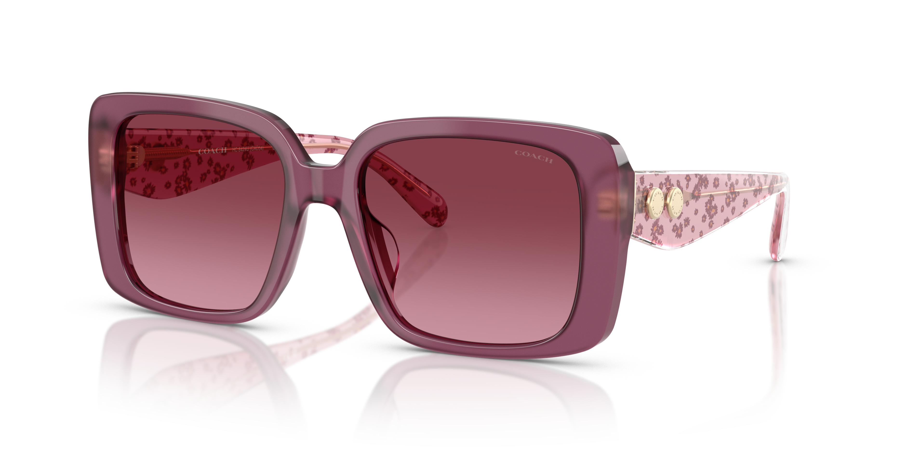 Coach HC8424U 59548H Cad54 